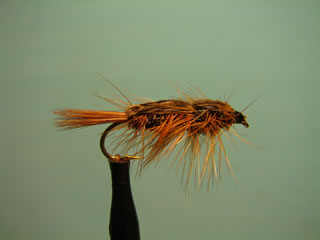 Half Back Mayfly (12)